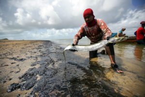 Oil spill in Northeast Brazil