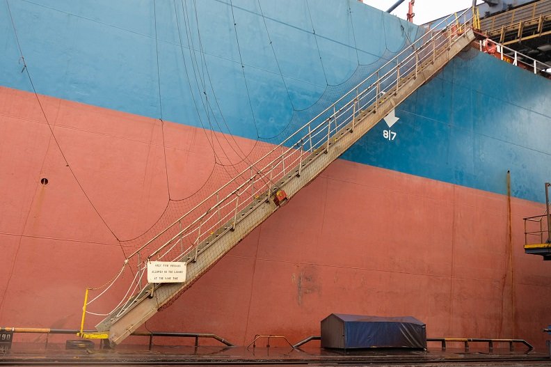 Gangway ladder