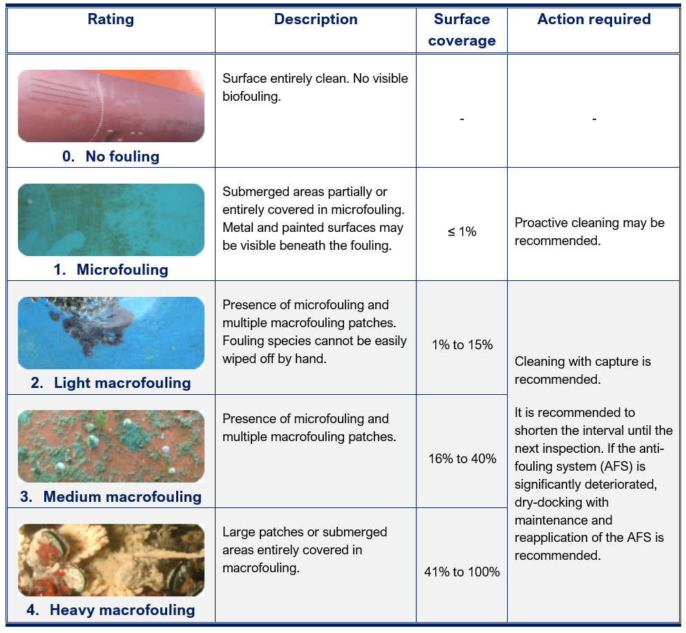 Rating scale to assess the extent of fouling on inspected areas