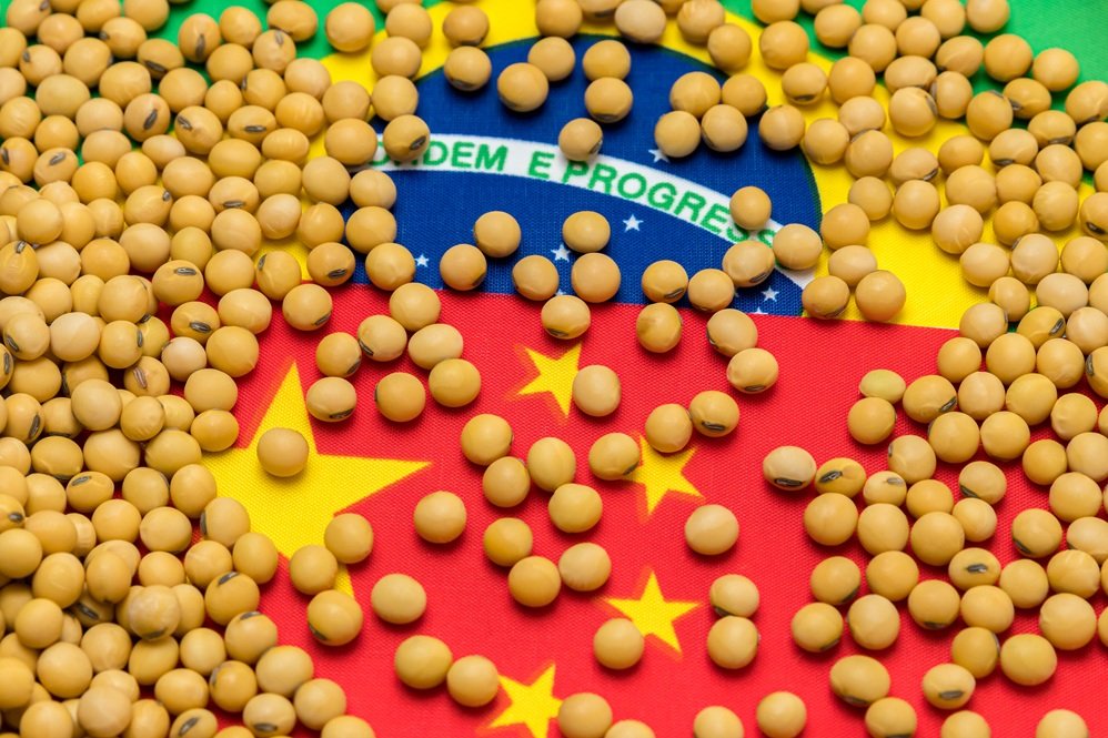 Brazil-China soya bean trade